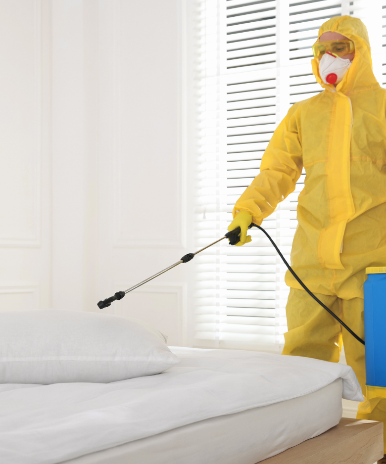 Professional Pest Control Team in Adelaide BC